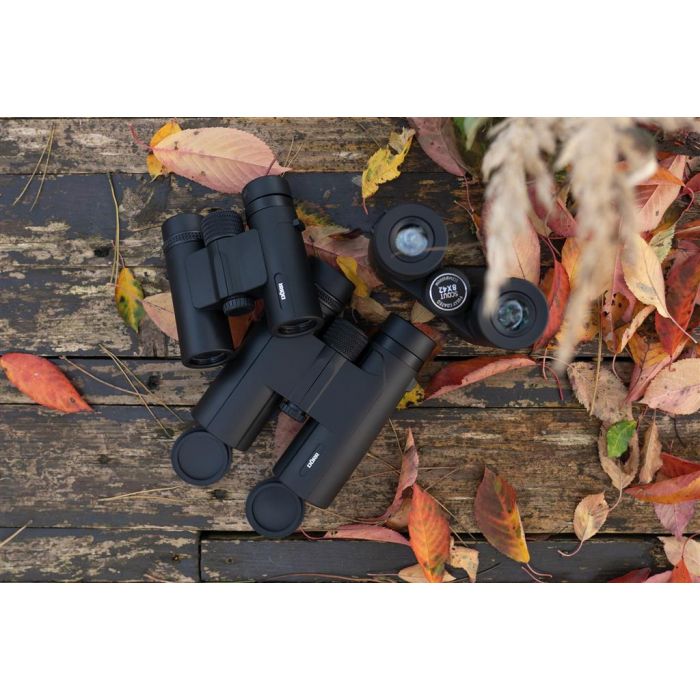 DÖRR -  Dachkantfernglas - Scout - [8x42]